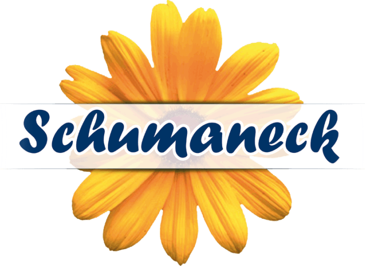 Logo-Schumaneck-768x525